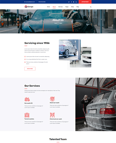 Motor Wash & Cleaning WordPress Theme