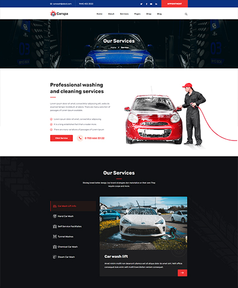 Motor Wash & Cleaning WordPress Theme