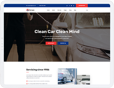 Motor Wash & Cleaning WordPress Theme