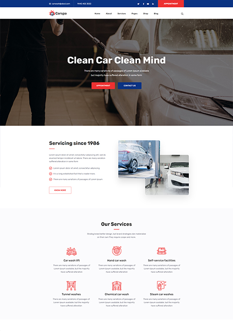 Motor Wash & Cleaning WordPress Theme