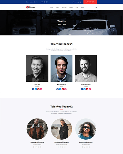Motor Wash & Cleaning WordPress Theme